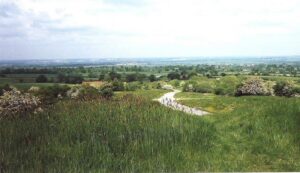 Brill Windmill View