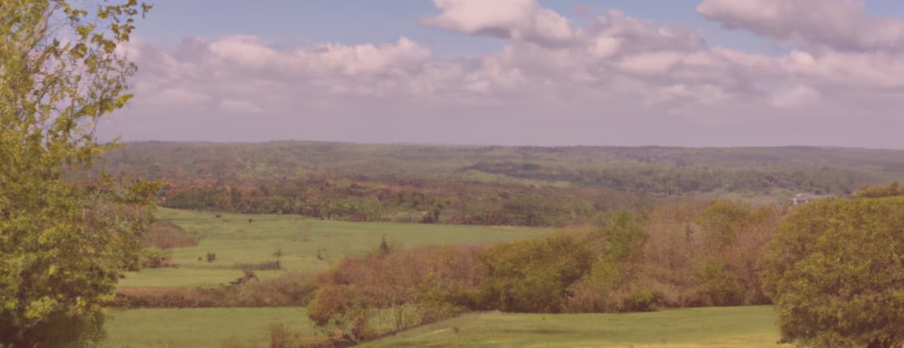 Quintessentially English!